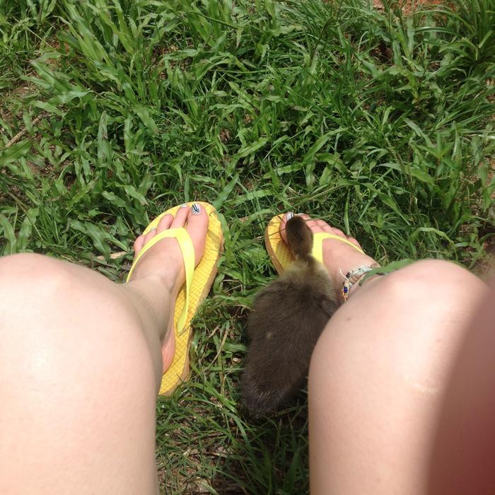 Her name shall be Jelly Bean