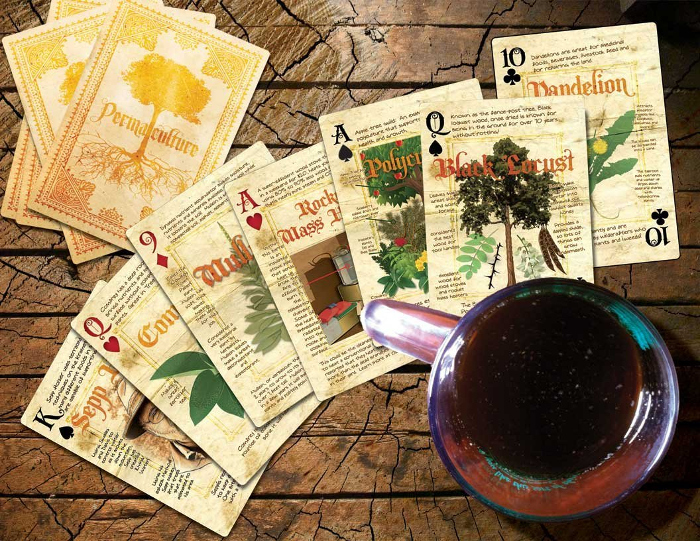 [Thumbnail for permaculture-playing-cards-spread-700.jpg]