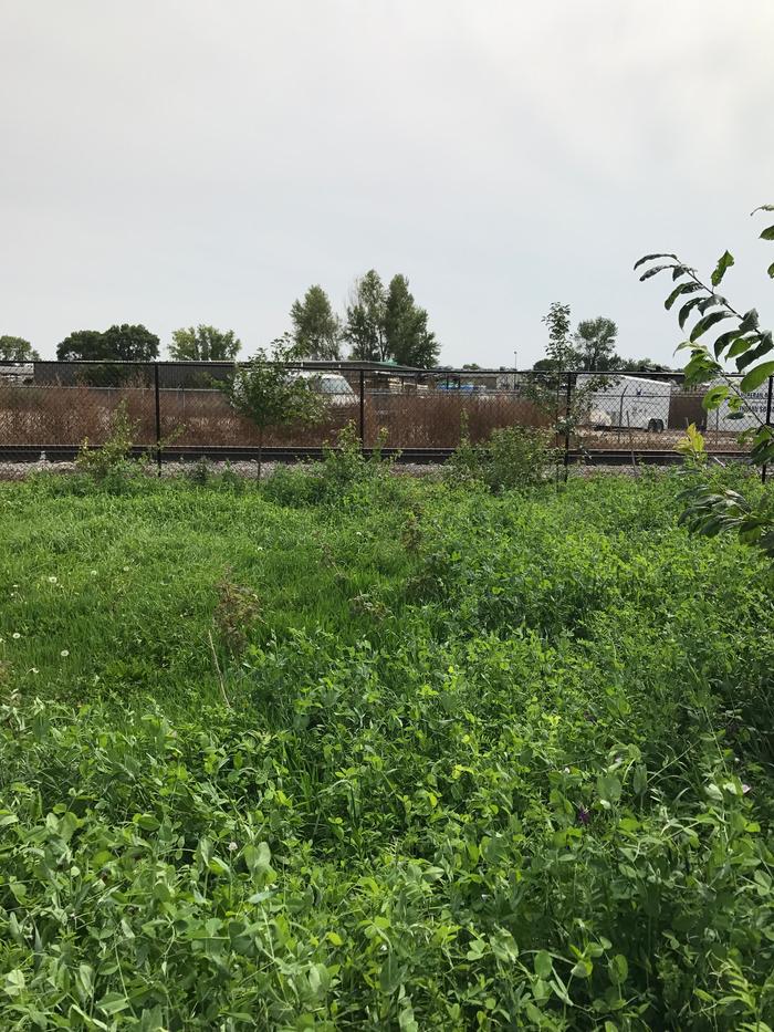 [Thumbnail for IMG_4816.JPG]