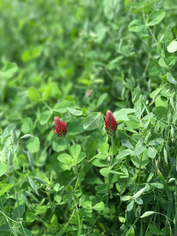 [Thumbnail for IMG_4812.JPG]