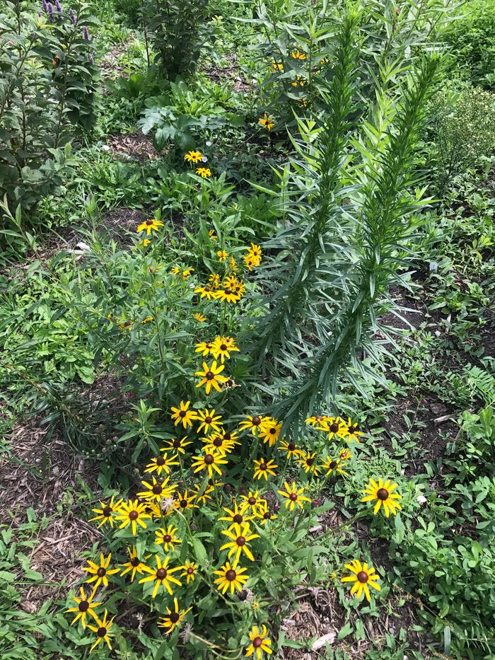 [Thumbnail for IMG_4805.JPG]