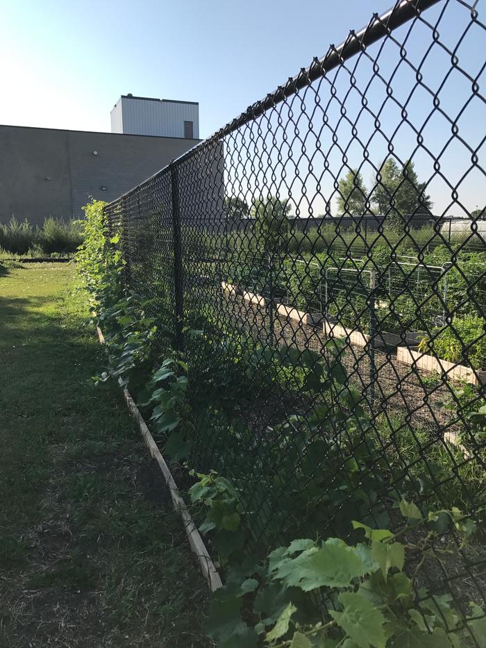 [Thumbnail for IMG_4694.JPG]