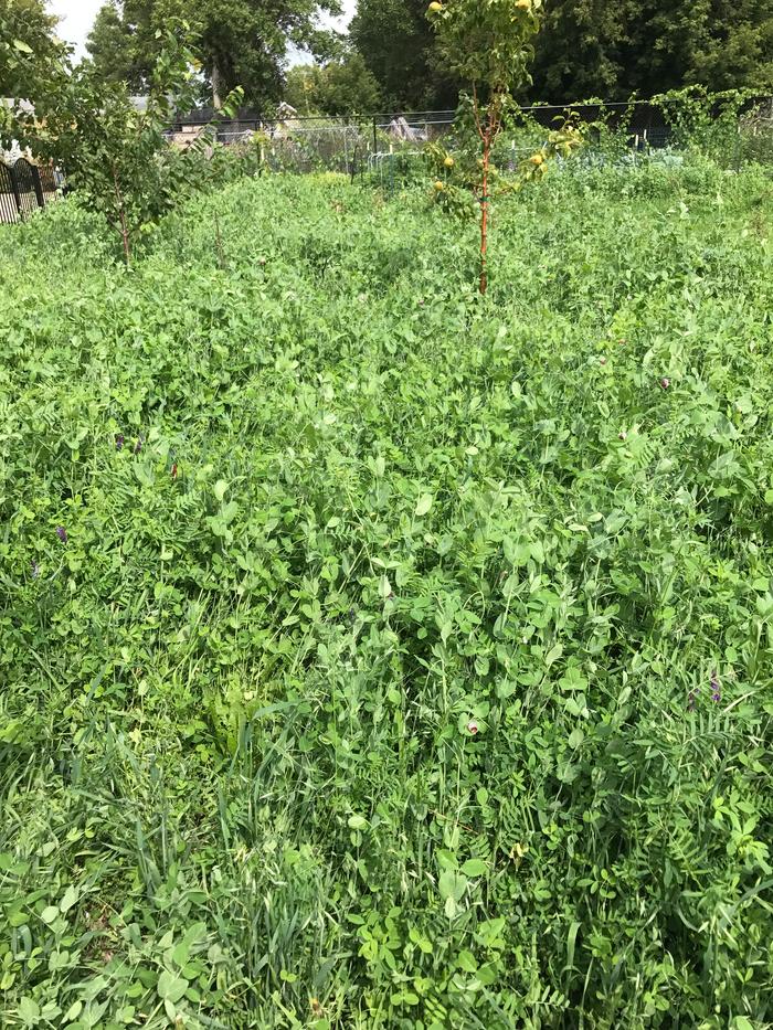 [Thumbnail for IMG_4813.JPG]