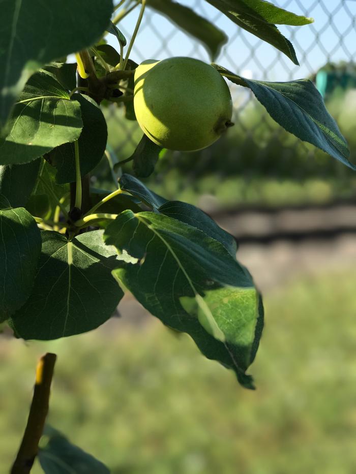 [Thumbnail for IMG_4715.JPG]