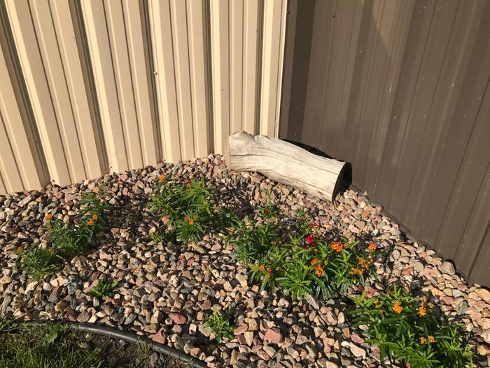 [Thumbnail for IMG_4701.JPG]