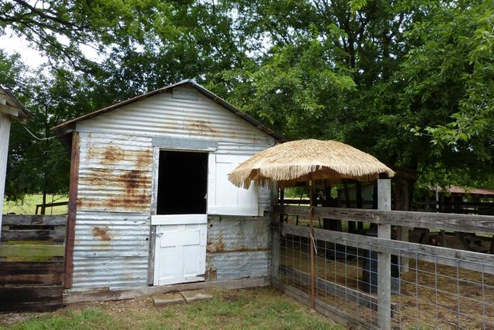 baby barn and pen where the babies are born