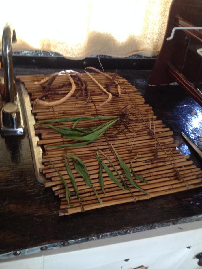 Drying bean pods and Plantain leaves and Seeds