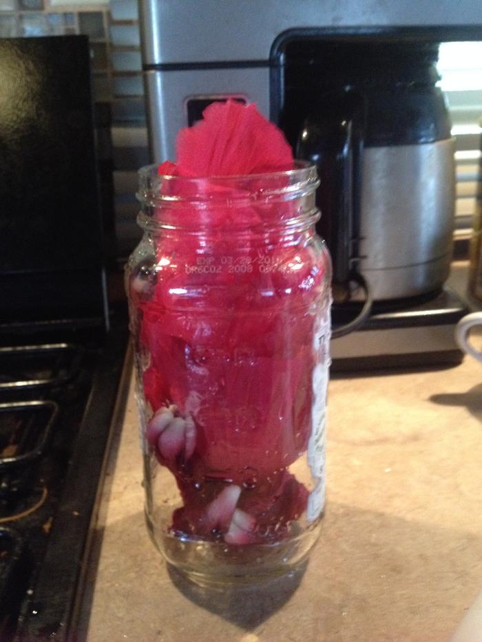 4 Flowers in Jar