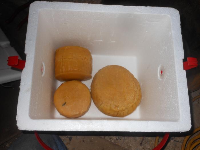 [Thumbnail for DSCN4909.JPG]