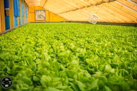 [Thumbnail for 3.jpg]