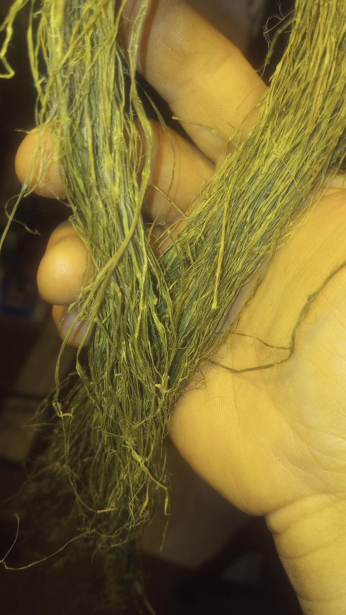 Nettle fibers not retted