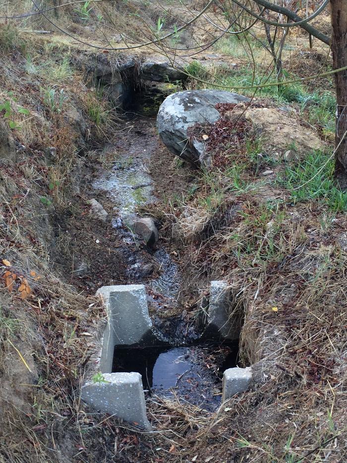 [Thumbnail for IMG_0510.JPG]