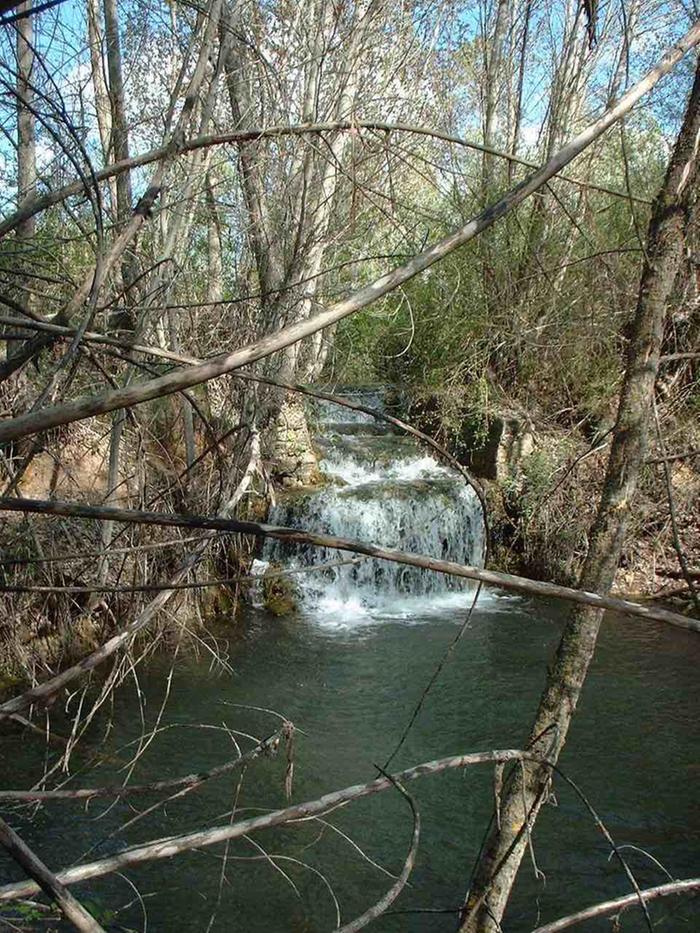 The creek at the bottom of the valley