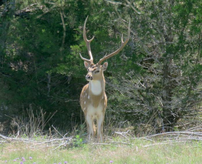 [Thumbnail for axispose.jpg]