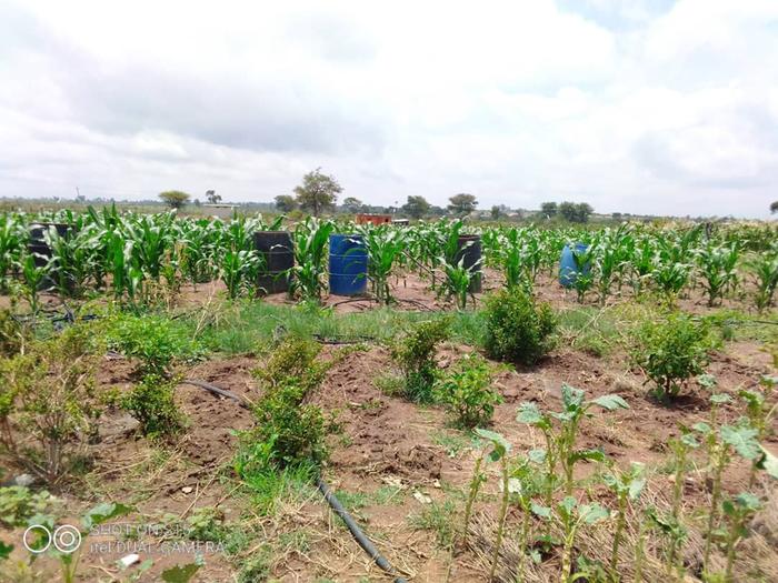 using all our drums to expand our water harvesting capacity