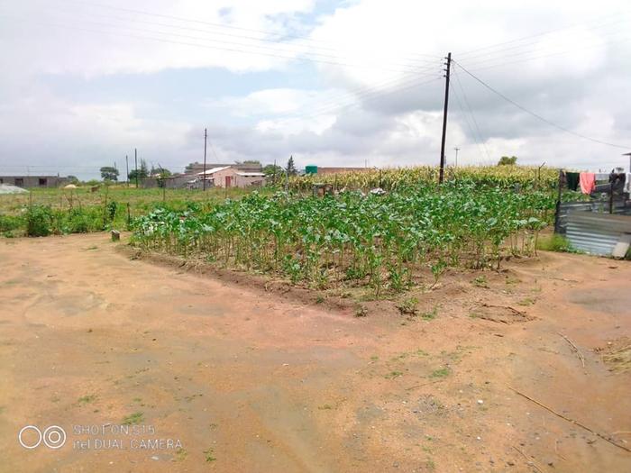 Balancing vegetable garden demands together with maize field demands