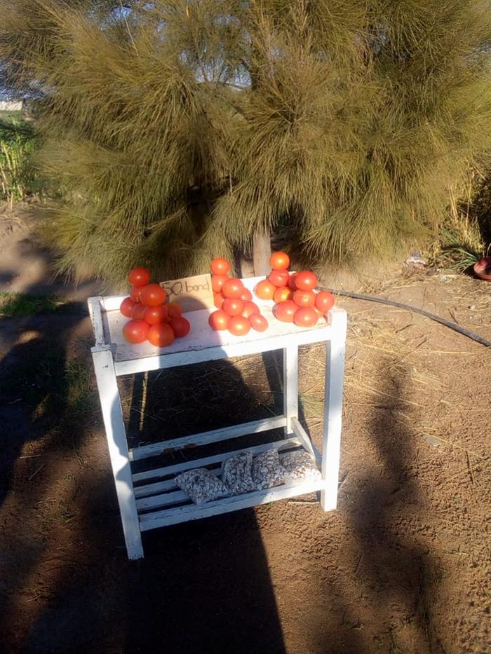 The stall with tomatoes