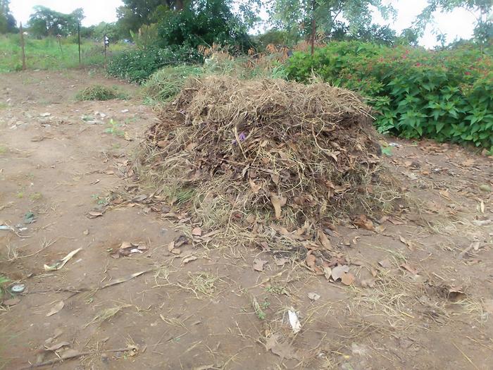 gigatonne-challenge-compost-pile