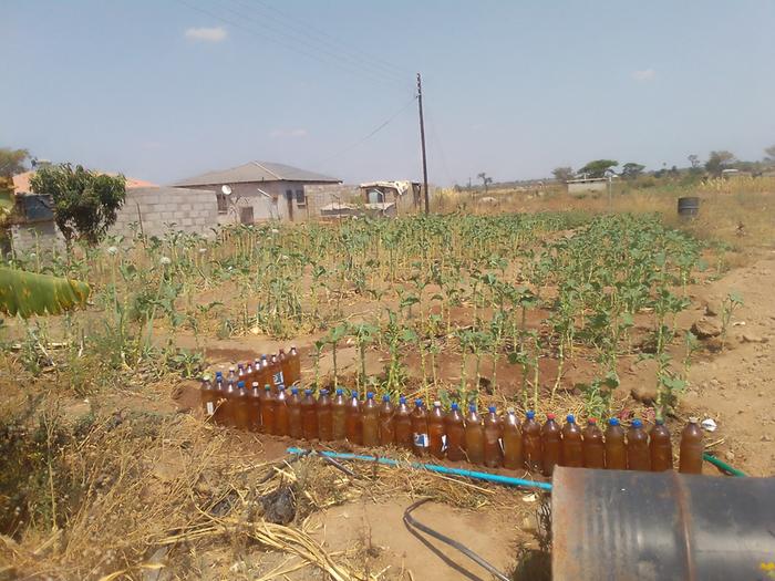 raised bed edges used bottles