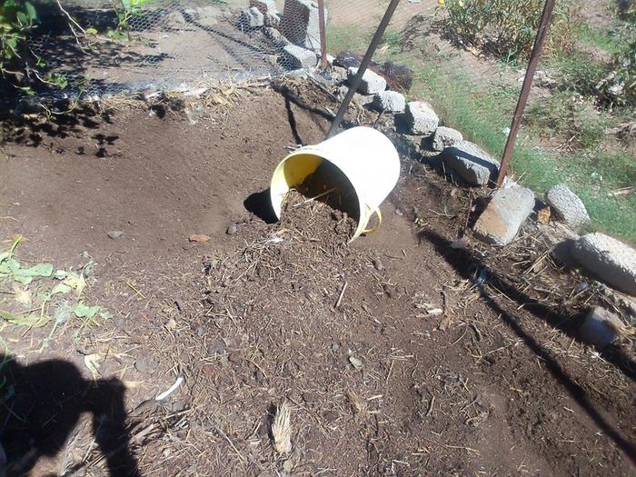 harvesting manure for fertiliser