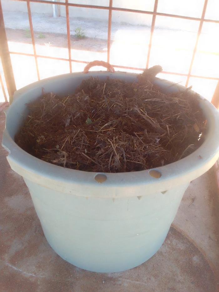 tub of manure for garden