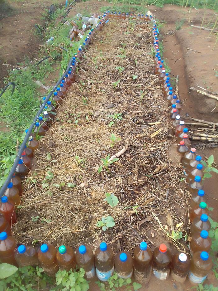 raised bed bottle edgeing