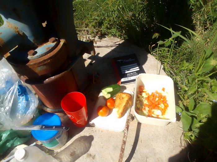 rusks with cucumber salad from the garden