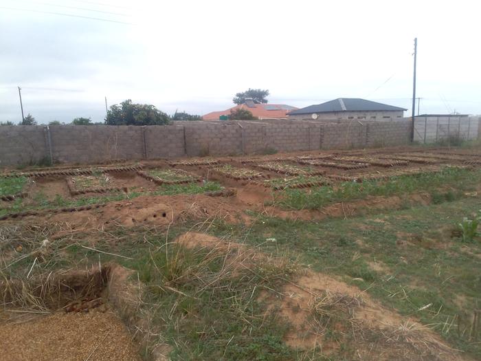 walled garden with raised beds in Zimbabwe