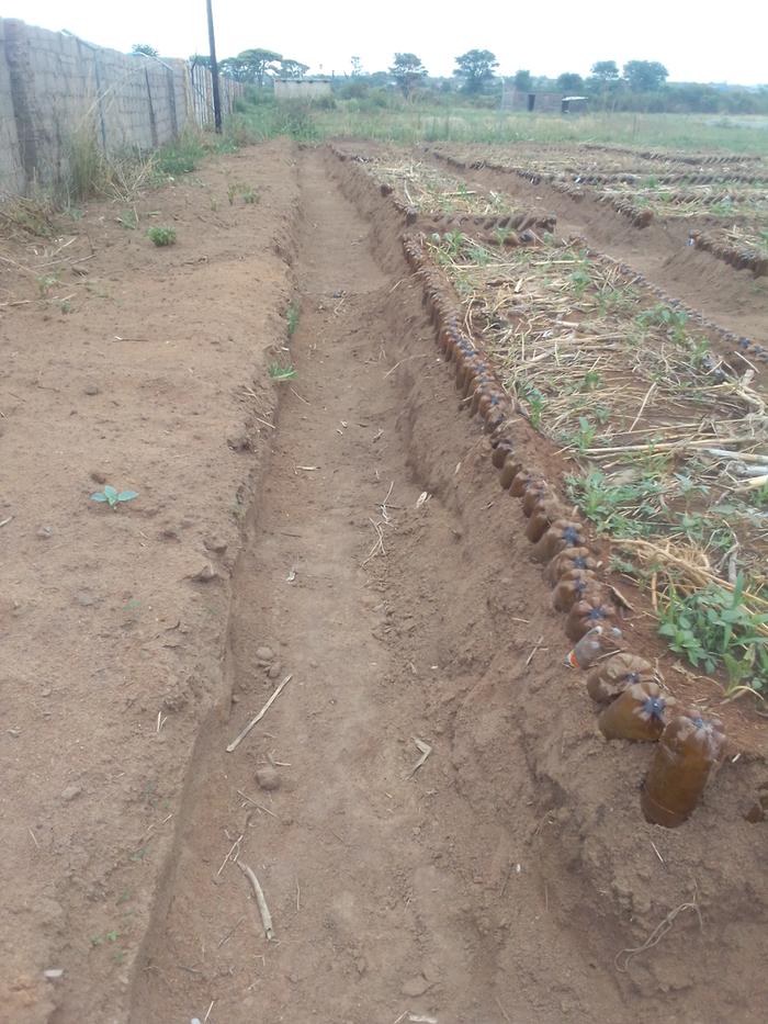 raised garden beds bordered by plastic bottles