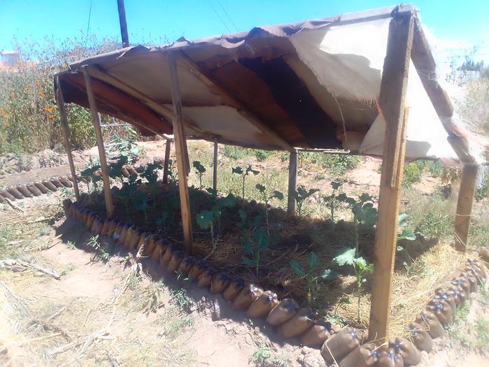 creating shade to protect seedlings