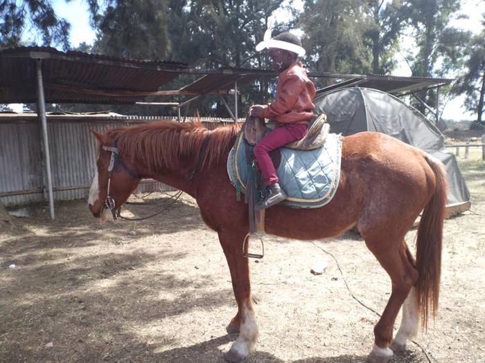 First experience on a horse 