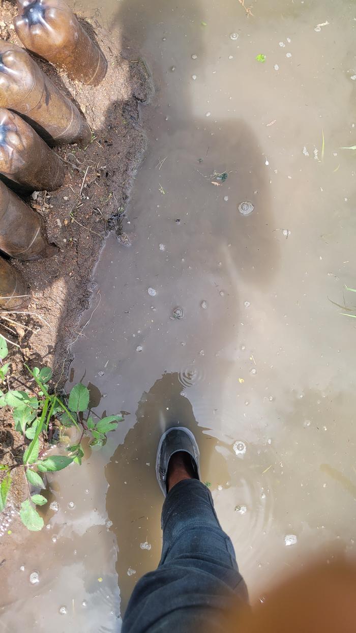 Shallow part of the collected water is ankle high