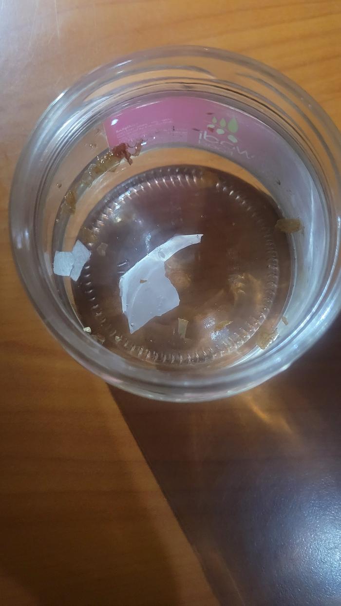 Remains from an eggshell soaked in vinegar