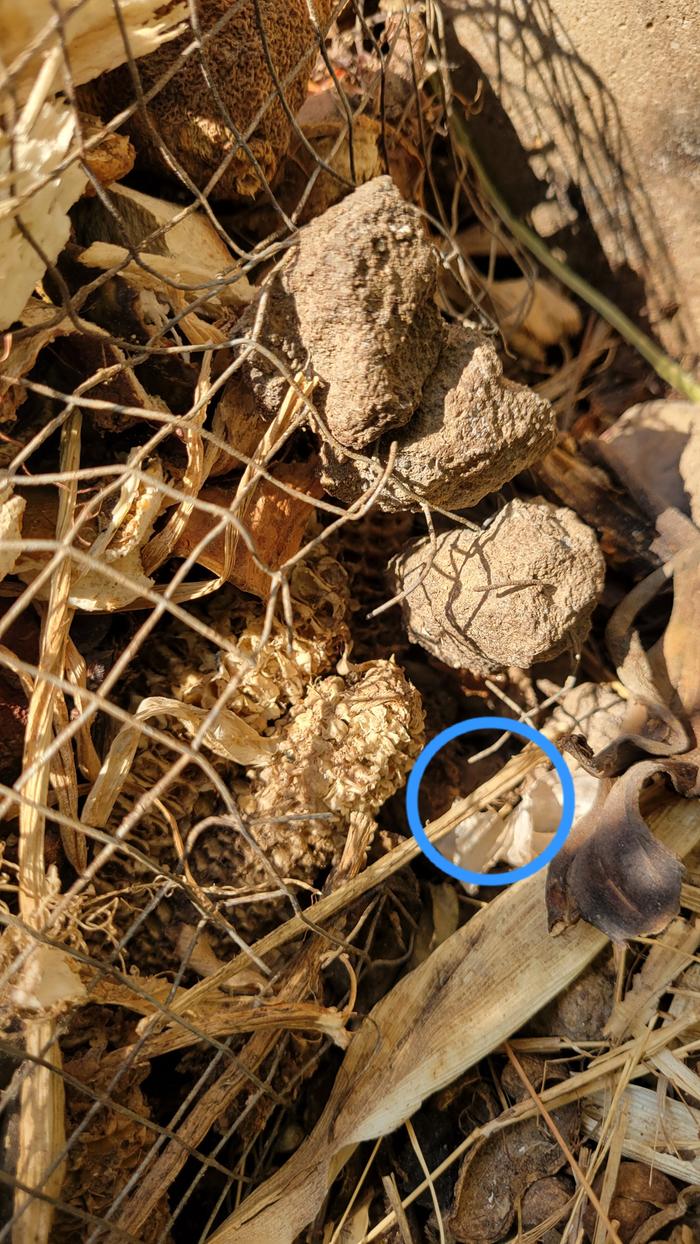 [Thumbnail for 20250917_133103.jpg]