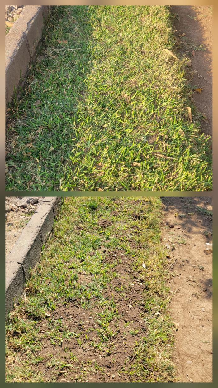 [Thumbnail for 20250926_164034.jpg]