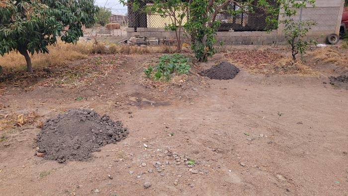 Piled termite mount soil