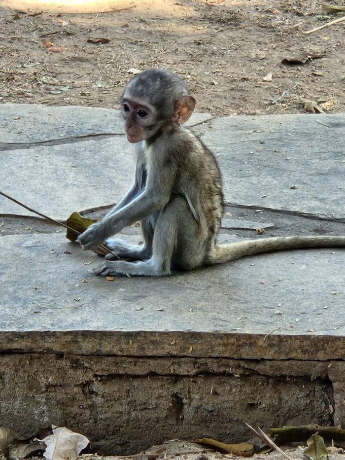 [Thumbnail for IMG-20251104-WA0070.jpg]