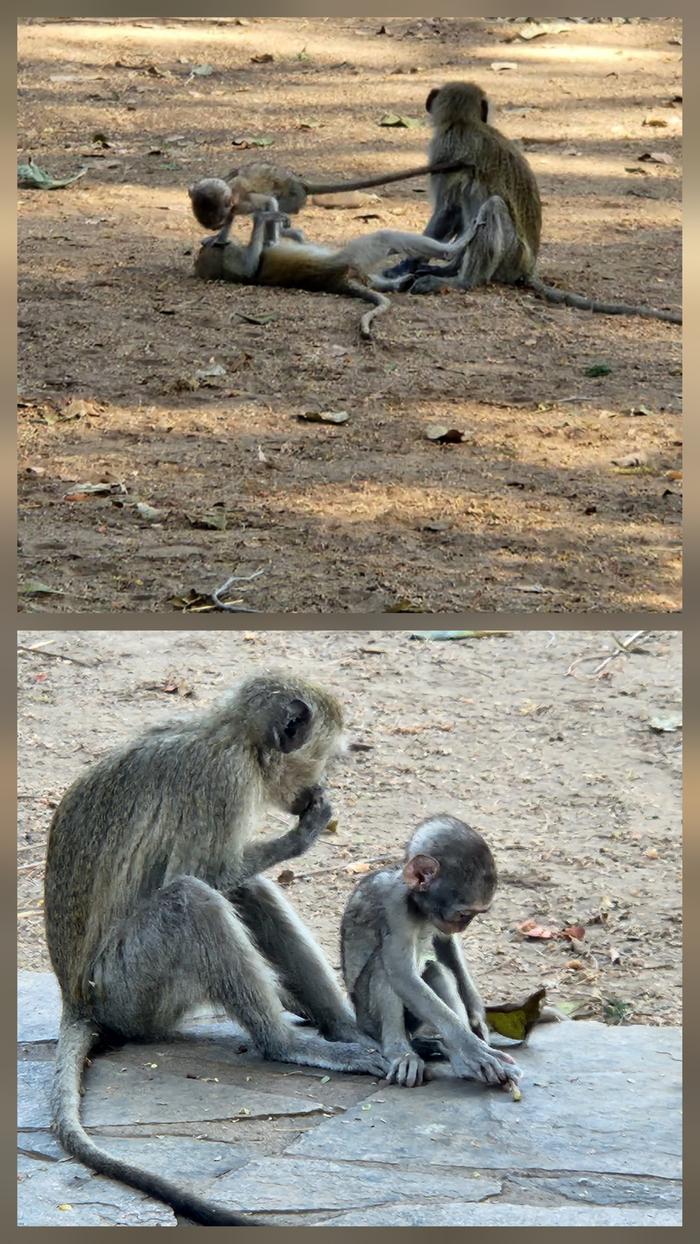 [Thumbnail for 20251105_023434.jpg]