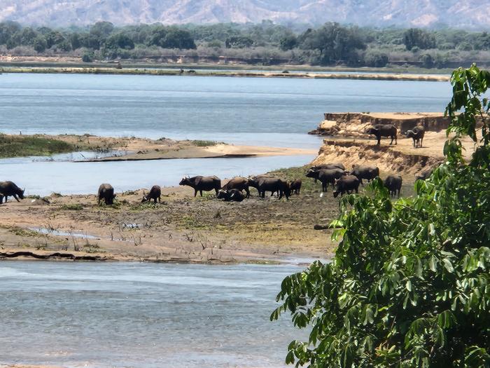 [Thumbnail for 20251101_130156.jpg]