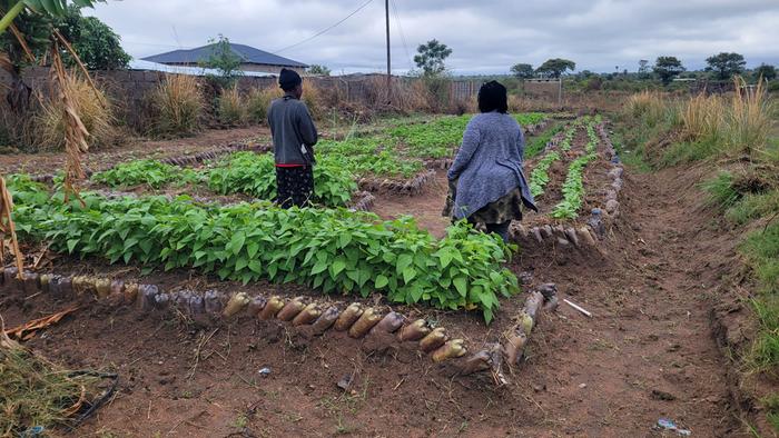 [Thumbnail for 20251117_080353.jpg]