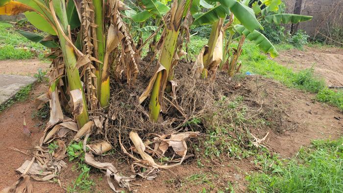 [Thumbnail for 20251126_142557.jpg]