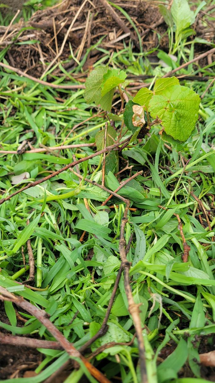 [Thumbnail for 20251126_142719.jpg]