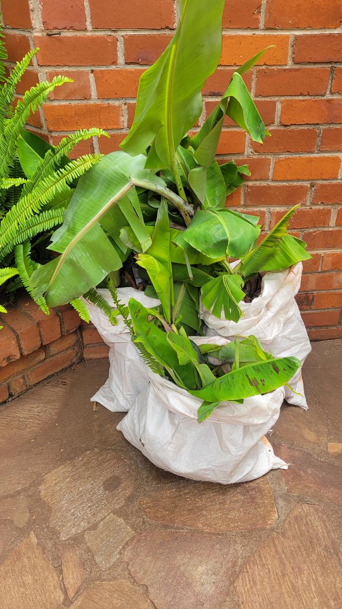 [Thumbnail for 20251205_111708.jpg]