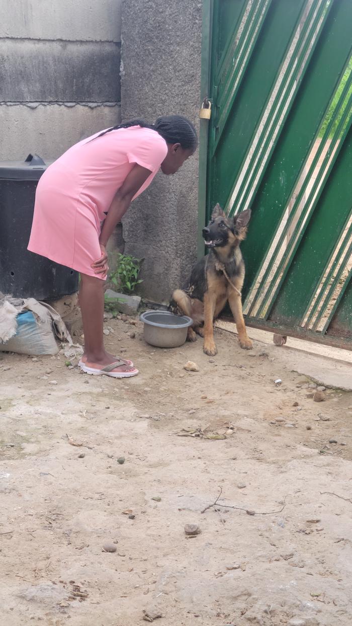 [Thumbnail for 20251218_155408.jpg]