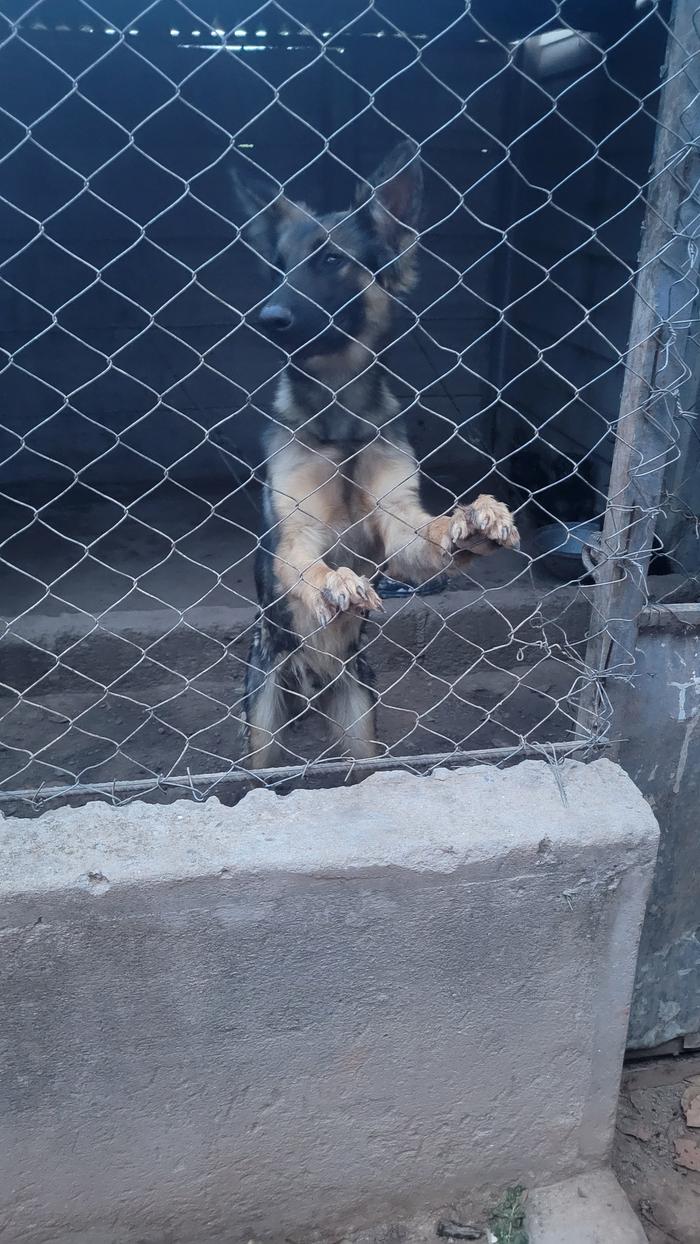 [Thumbnail for 20251218_183323.jpg]