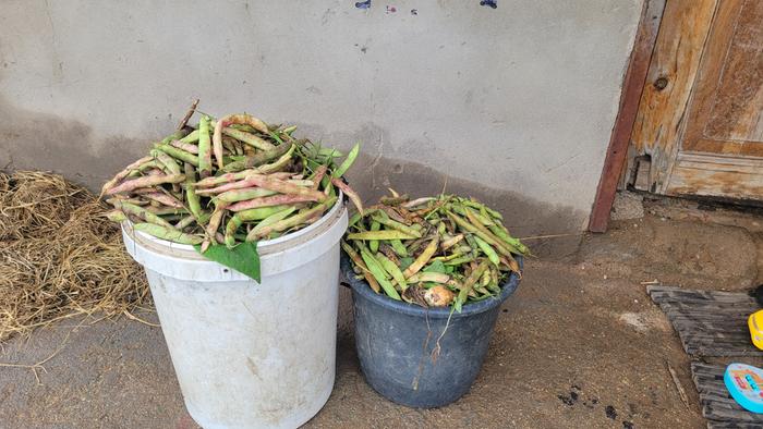 [Thumbnail for 20260118_095409.jpg]