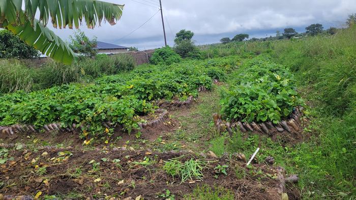 [Thumbnail for 20260118_100237.jpg]