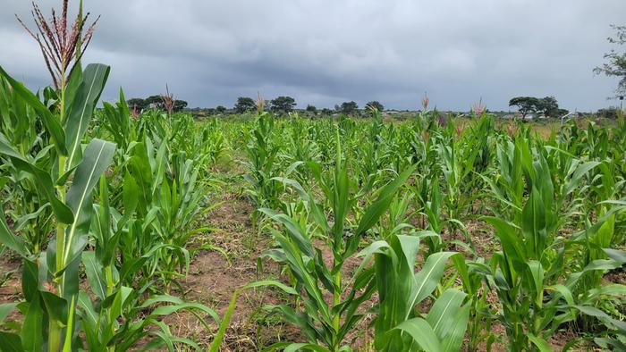 [Thumbnail for 20260118_101147.jpg]