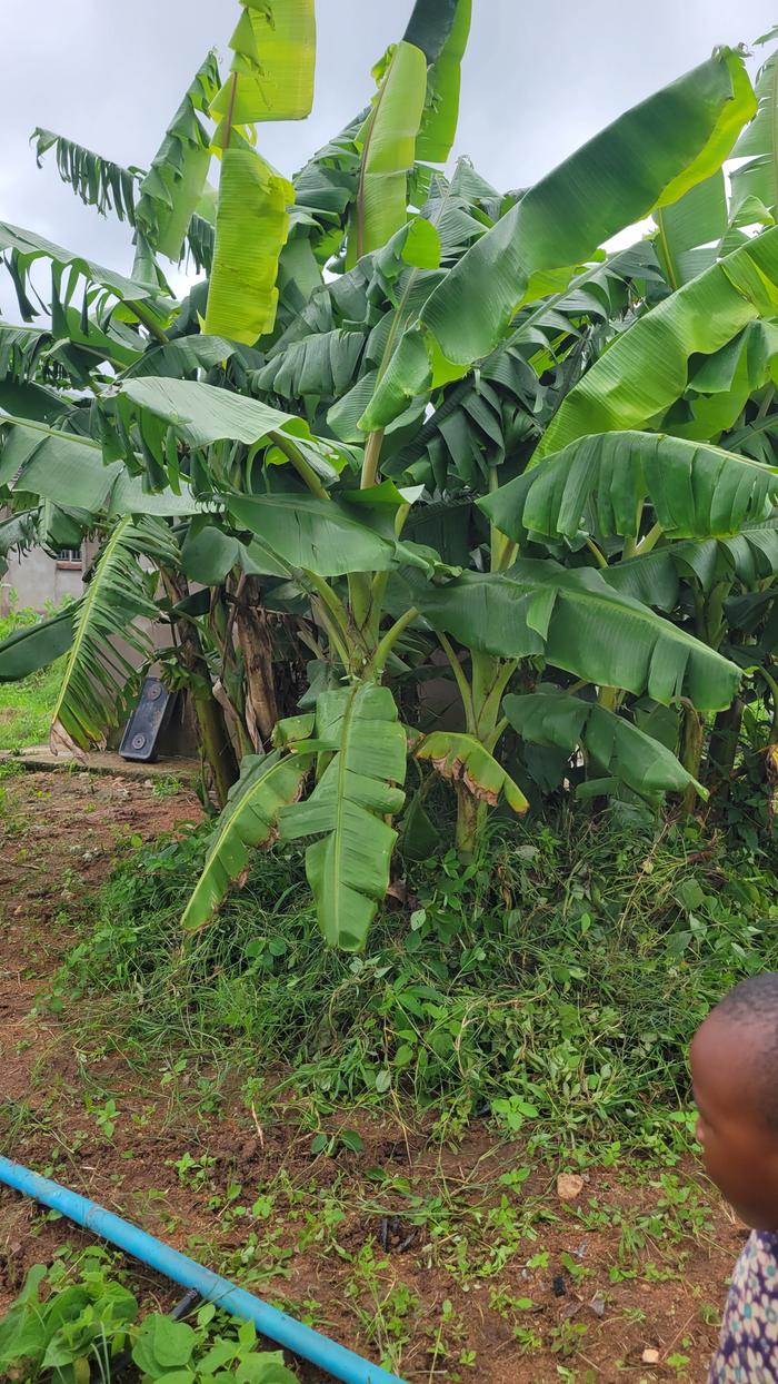 [Thumbnail for 20260118_100744.jpg]