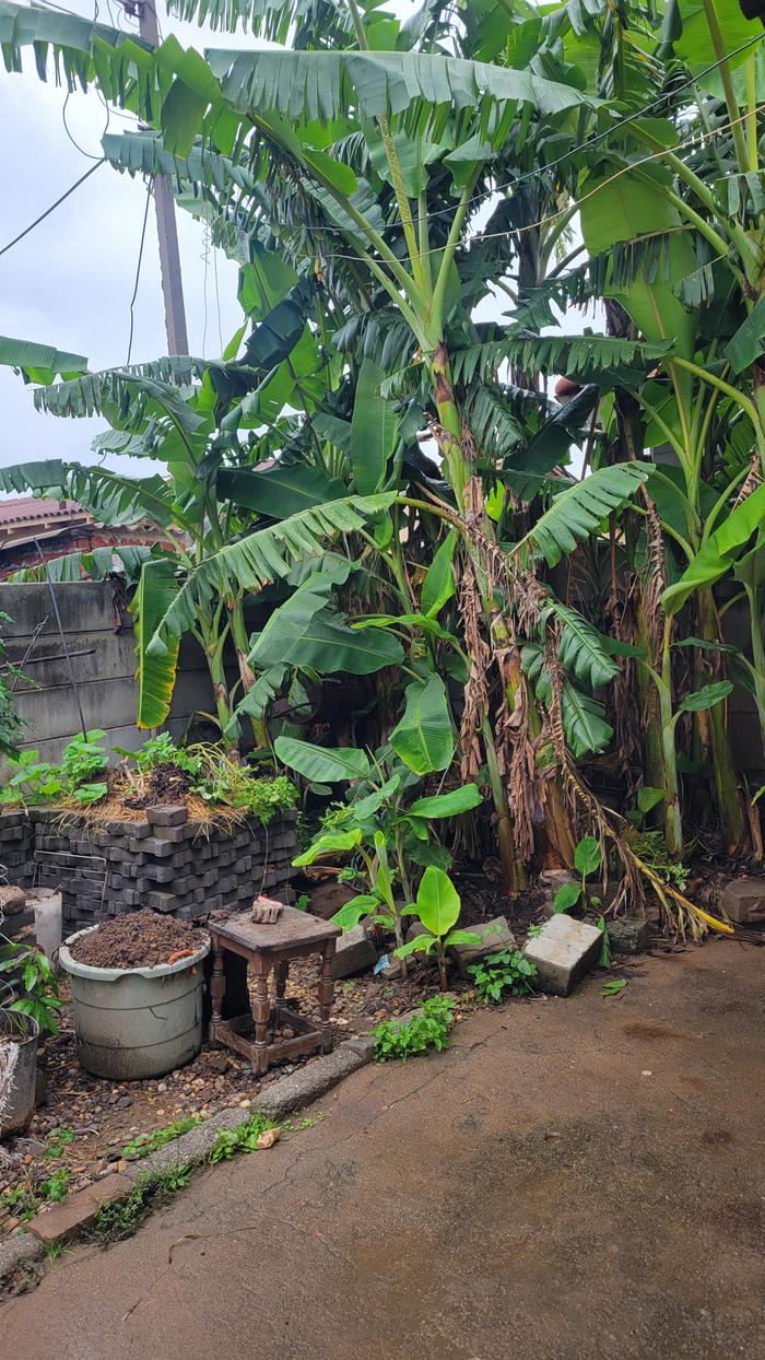 [Thumbnail for 20260120_111507.jpg]